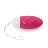 Lovetoy IJOY USB Rechargeable Remote Control Love Egg Pink